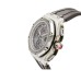 Replica AP Schumacher Titanium Order Now Fast Shipping