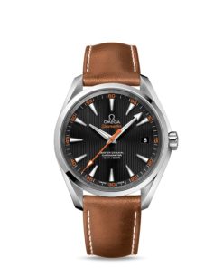 Omega Seamaster Ref. # 231.12.42.21.01.002