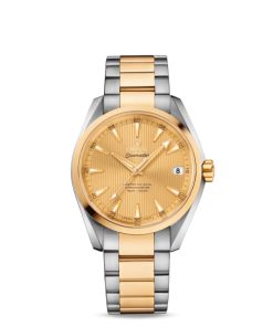 Omega Seamaster Ref. # 231.20.39.21.08.001