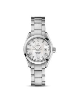 Omega Seamaster Ref. # 231.10.30.61.55.001