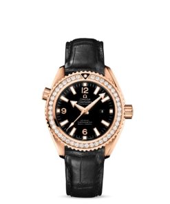 Omega Seamaster Ref. # 232.58.38.20.01.001